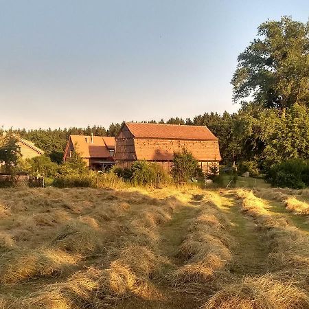 Ziegeleihof Inmitten Von Wiesen Und Waeldern Degenershausen Dış mekan fotoğraf